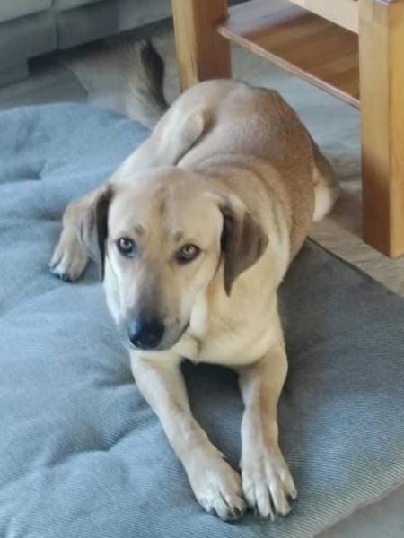 Johnny sucht seine Familie