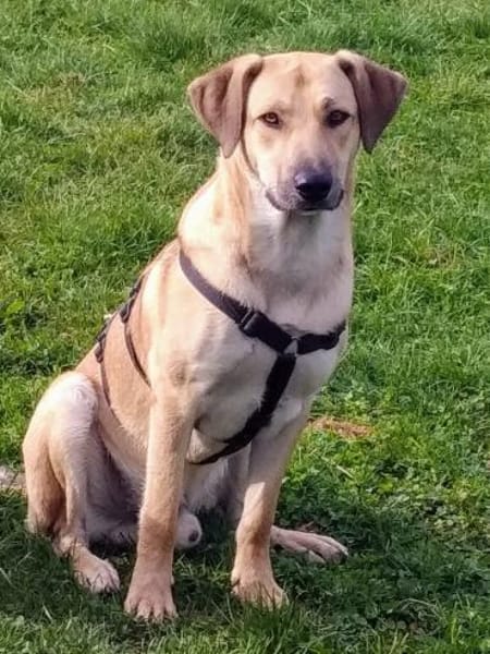 Johnny sucht seine Familie