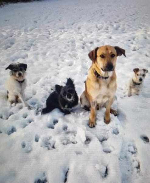 Johnny sucht seine Familie