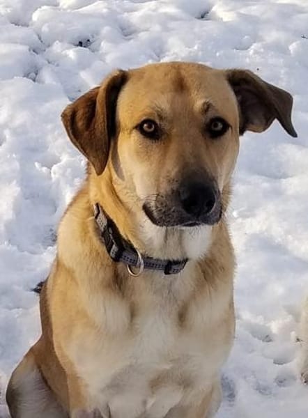 Johnny sucht seine Familie