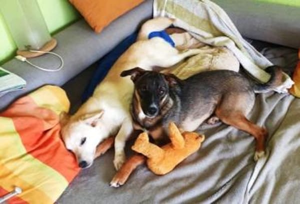 Amali ist einfach nur bezaubernd + lieb!