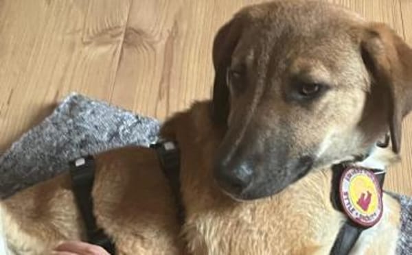 Lolly wartet schon auf dich