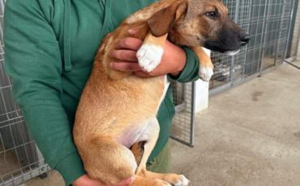 Lolly wartet schon auf dich