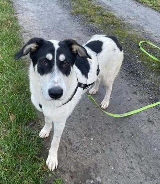 Aury, 12/2024, 33142 Büren-Wewelsburg