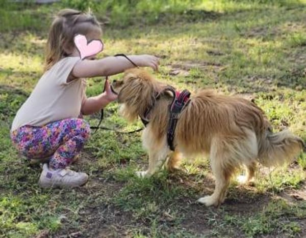 Rubino ist ein ganz toller, cleverer Bub