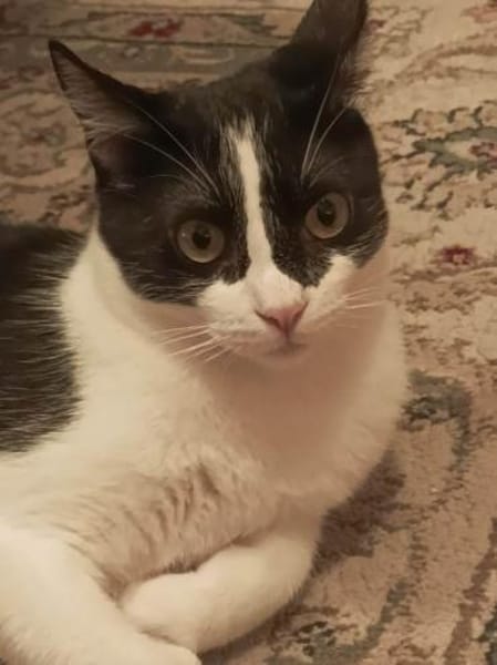 Sohn Edgar und Mama Wilma