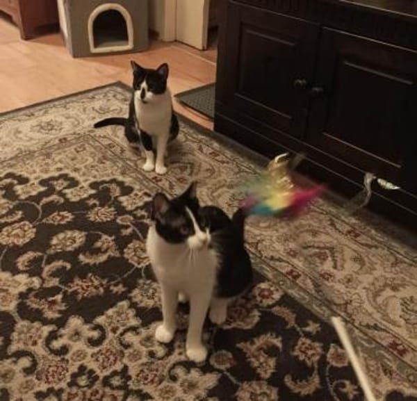 Sohn Edgar und Mama Wilma