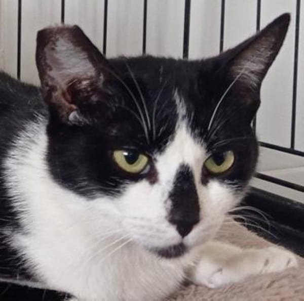 Mama Wilma und Sohn Edgar