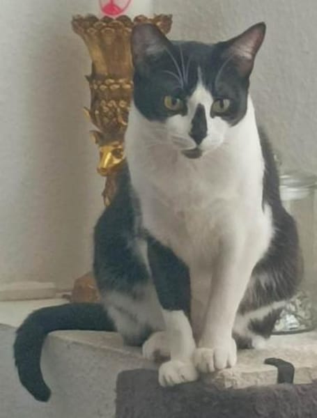 Mama Wilma und Sohn Edgar