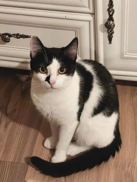 Sarah & Sasha Ruhiges Dreamteam