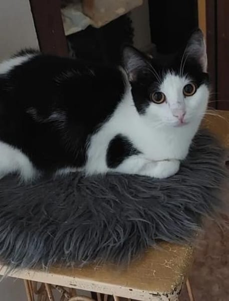 Sarah & Sasha Ruhiges Dreamteam