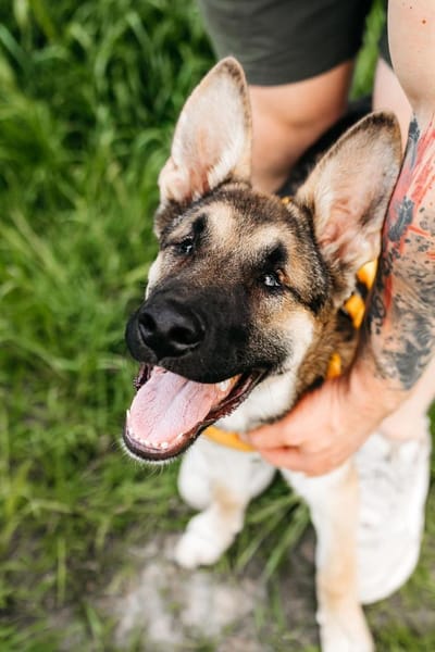 Besondere Deya sucht seine Familie