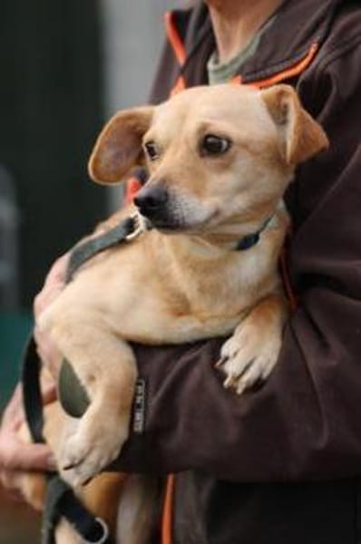 Kiani - verschmust u. sehr lieb