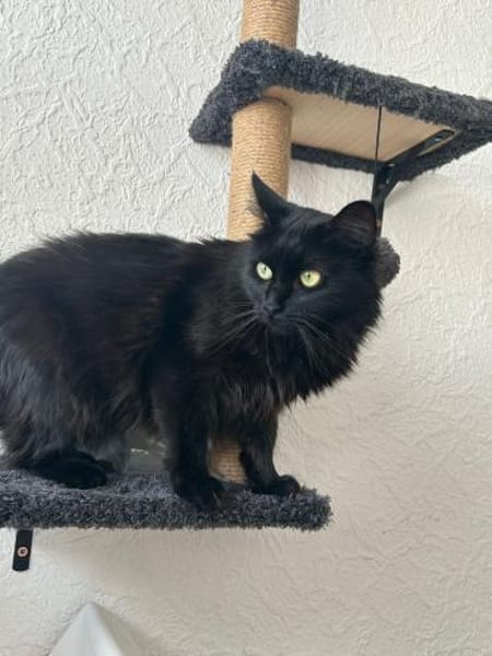 Wunderschöne und unkomplizierte Blasa