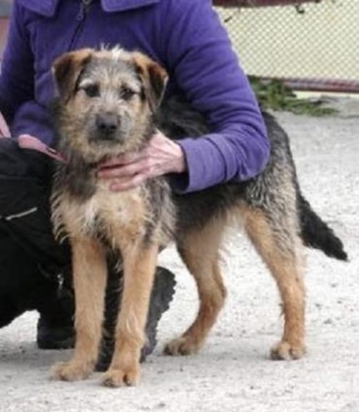 Otty ist aktiv, pfiffig und super!