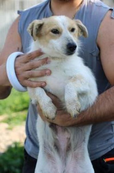 Noya - zutraulich u. unkompliziert