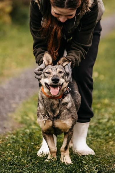 Lustige Maya sucht ihre Familie