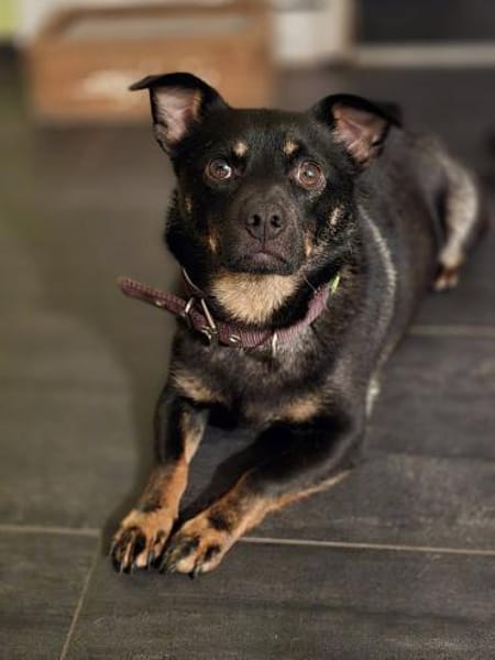 Olli - menschenbezogen und aktiv