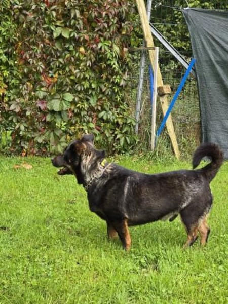 Olli - menschenbezogen und aktiv