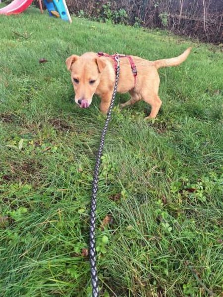 Ragnar sucht sein Wikingerschiff