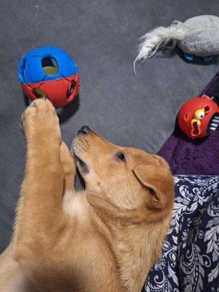 Ragnar sucht sein Wikingerschiff