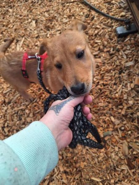 Ragnar sucht sein Wikingerschiff