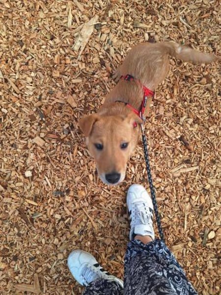 Ragnar sucht sein Wikingerschiff