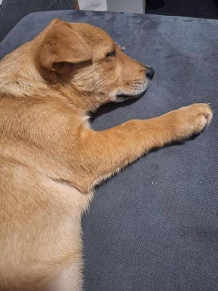 Ragnar sucht sein Wikingerschiff