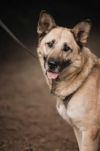 Phili  gerettet und dann?