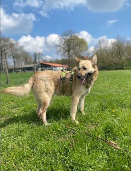 Phili  gerettet und dann?