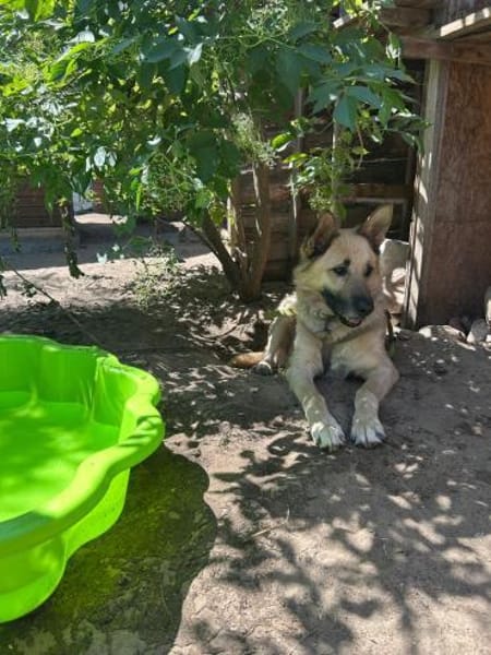 Phili  gerettet und dann?