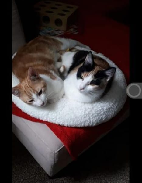 Bella & Linus hübsches Mama-Sohn-Team