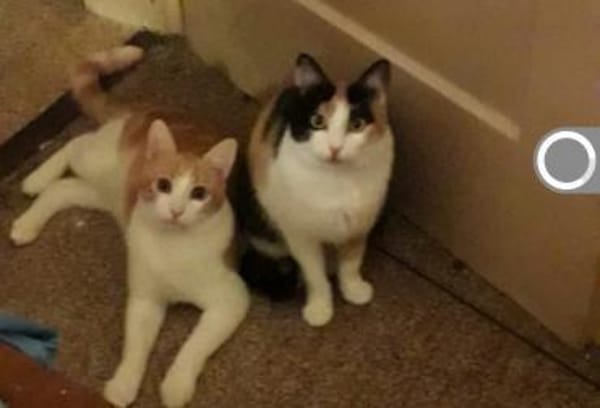 Bella & Linus hübsches Mama-Sohn-Team