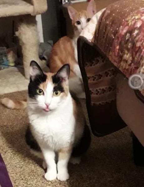 Bella & Linus hübsches Mama-Sohn-Team