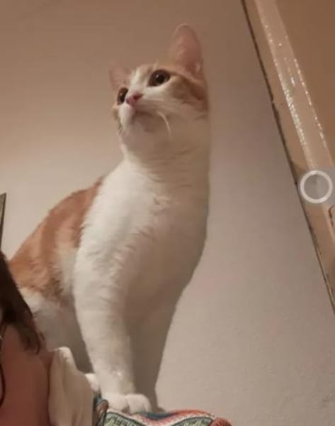 Bella & Linus hübsches Mama-Sohn-Team