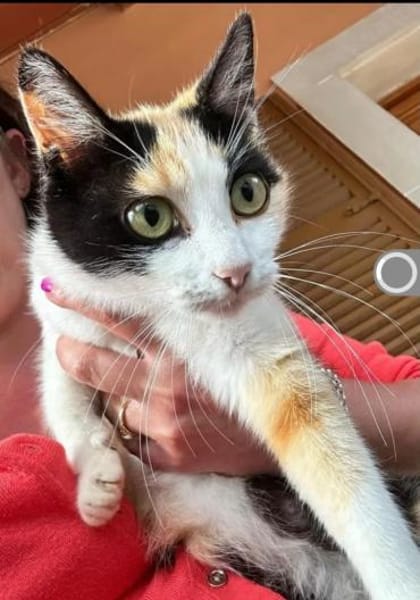 Bella & Linus hübsches Mama-Sohn-Team