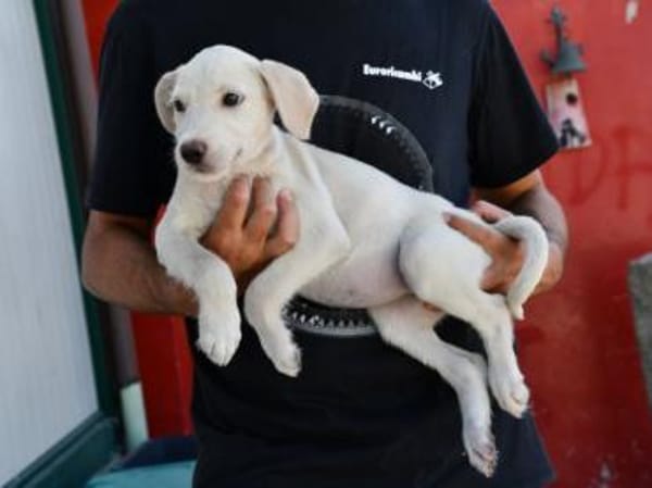 Agostina wünscht sich ein besseres Leben