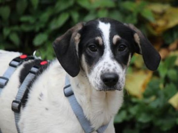 Holen Sie Anett zu sich?