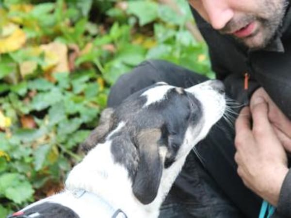 Holen Sie Anett zu sich?