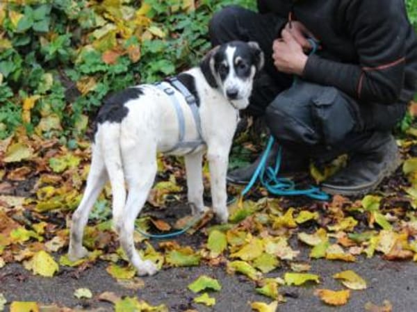 Holen Sie Anett zu sich?