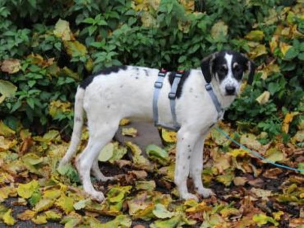 Holen Sie Anett zu sich?