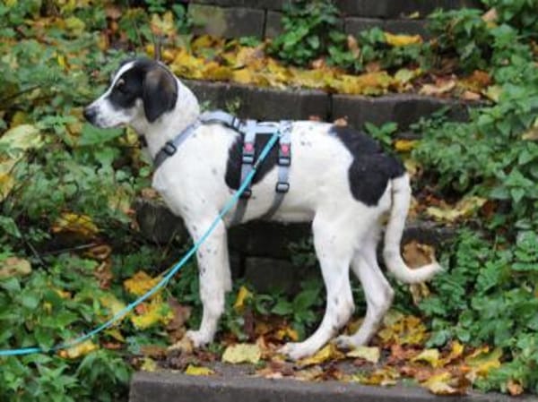 Holen Sie Anett zu sich?