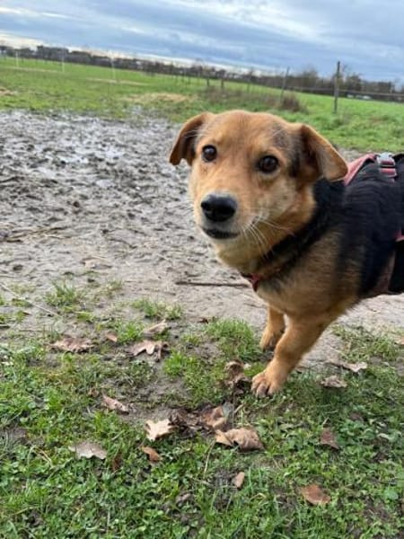 BENJI möchte gesehen werden