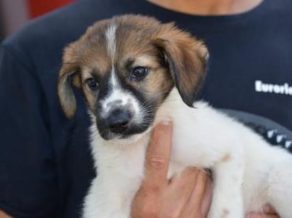 Arianna wünscht sich Zuwendung