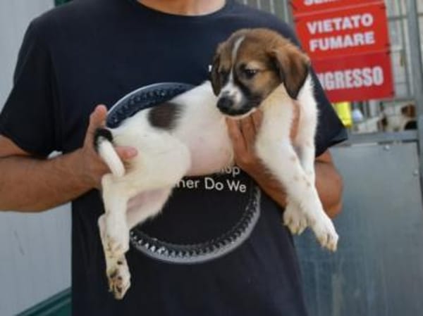 Arianna wünscht sich Zuwendung