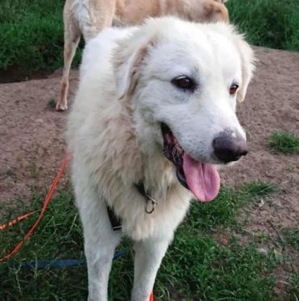 Silvia, Pflegestelle in Bayern