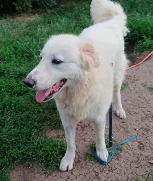 Silvia, Pflegestelle in Bayern