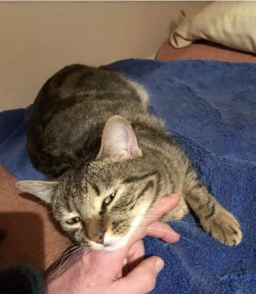 Miriam - sehr liebenswert & sozial