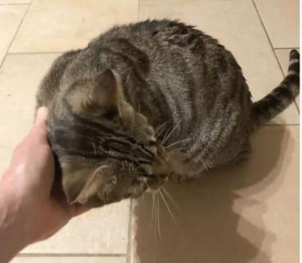 Miriam - sehr liebenswert & sozial