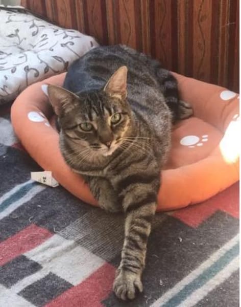 Miriam - sehr liebenswert & sozial